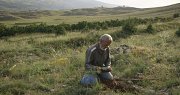 BAFF: La Bataille du Cèdre BAFF: La Bataille du Cèdre