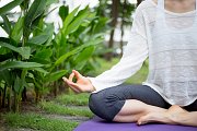Online Yoga Classes Online Yoga Classes