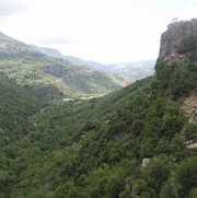 Chouf to bisri hike with Sane Chouf to bisri hike with Sane