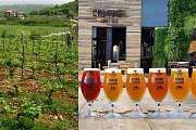 The Art of Wine and Beer Making - Batroun Tour & Tastings with Lunch The Art of Wine and Beer Making - Batroun Tour & Tastings with Lunch