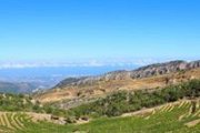 GREEN STEPS in Batroun mountains for Wine Tasting and special lunch GREEN STEPS in Batroun mountains for Wine Tasting and special lunch