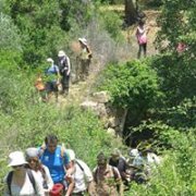 Mazraat Chouf Hiking with Vamos Todos Mazraat Chouf Hiking with Vamos Todos
