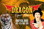 Dragon Circus: Expect Xtreme Dragon Circus: Expect Xtreme