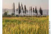 Landscape Photography Landscape Photography