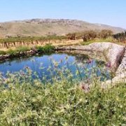Hiking in the fields of Kfarmishki with GREEN STEPS and Wine Tas Hiking in the fields of Kfarmishki with GREEN STEPS and Wine Tas