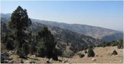 Hiking in the Arqoub Forest with 33 North Hiking in the Arqoub Forest with 33 North