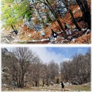 Hiking Jabal Moussa | Olistrails Hiking Jabal Moussa | Olistrails