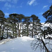 Arz el Rabb Snowshoeing VT Arz el Rabb Snowshoeing VT