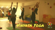 Vinyasa Yoga Vinyasa Yoga