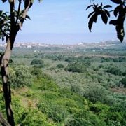 Batroumine Koura Hike with Adventures in Lebanon Batroumine Koura Hike with Adventures in Lebanon