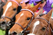 Courses Françaises En Direct! Courses Françaises En Direct!