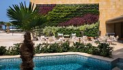 Sunday Brunch at Candelabra Kempinski Summerland Hotel & Resort Sunday Brunch at Candelabra Kempinski Summerland Hotel & Resort