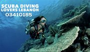 Scuba Diving Session Scuba Diving Session