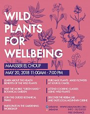 Wild Plants For Wellbeing Wild Plants For Wellbeing