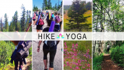 Hike & Yoga (Shouf Biosphere Reserve) Hike & Yoga (Shouf Biosphere Reserve)