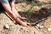 Join Our Public Plantation Days! Join Our Public Plantation Days!