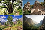 Qadisha - Becharre - Cedars of God with Zingy Ride Qadisha - Becharre - Cedars of God with Zingy Ride