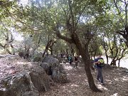 Hiking at Maroun El Ras with DALE Corazon -L.E. Yaroun Hiking at Maroun El Ras with DALE Corazon -L.E. Yaroun