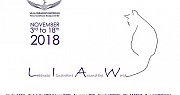Lebanese Illustrators around the World Lebanese Illustrators around the World