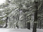Snowshoeing at Arz Hadath with DALE CORAZON - L.E. Snowshoeing at Arz Hadath with DALE CORAZON - L.E.