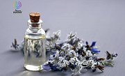 Aromatherapy in Cold Weather -Workshop at I Have Learned Academy Aromatherapy in Cold Weather -Workshop at I Have Learned Academy