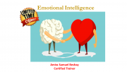 Emotional Intelligence Workshop Emotional Intelligence Workshop