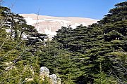 Baalbeck, Cedars & Kozhaya with Nakhal & Cie Baalbeck, Cedars & Kozhaya with Nakhal & Cie