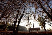 Landscape Photography AM Landscape Photography AM