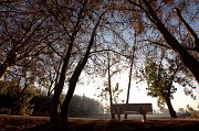 Landscape Photography AM Landscape Photography AM
