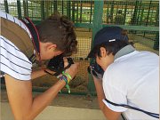 4 Digital Camps for Teens and Kids 4 Digital Camps for Teens and Kids