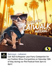 “Is Your Pet Catwalk Material?” Runway Pet Fashion Show @ Spinneys Hazmieh Pet Festival “Is Your Pet Catwalk Material?” Runway Pet Fashion Show @ Spinneys Hazmieh Pet Festival