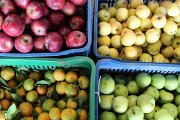 Badaro Farmers Market Badaro Farmers Market
