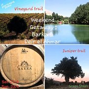 Weekend getaway by the Junipers & the Vineyards with Green Steps Weekend getaway by the Junipers & the Vineyards with Green Steps