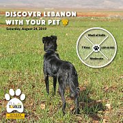 Discover Lebanon with your Pet Discover Lebanon with your Pet
