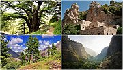 Cedars Forest - Qadisha Valley with Zingy Ride Cedars Forest - Qadisha Valley with Zingy Ride