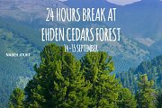 Yoga Retreat, Hiking, Walk, Meditation with Art of Living Yoga Retreat, Hiking, Walk, Meditation with Art of Living