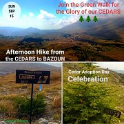GREEN HIKE FOR THE GLORY OF OUR CEDARS with GREEN STEPS GREEN HIKE FOR THE GLORY OF OUR CEDARS with GREEN STEPS