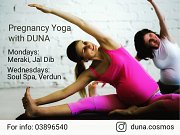 Prenatal/Pregnancy Pilates with Duna Prenatal/Pregnancy Pilates with Duna