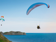 Paragliding Tandem Flight with Purple Pineapple Pot Paragliding Tandem Flight with Purple Pineapple Pot
