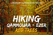 *HIKING IN QAMMOUAA (EZER FOREST) WITH LEBANON OUTDOOR ACTIVITIES*⛰️ *HIKING IN QAMMOUAA (EZER FOREST) WITH LEBANON OUTDOOR ACTIVITIES*⛰️